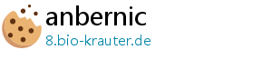 anbernic